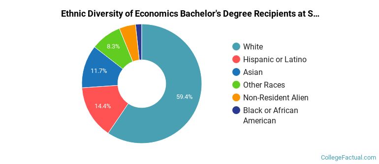 Ethnic diversity of Economics majors at Southern Methodist University