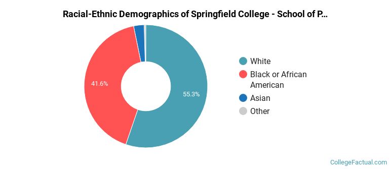 Racial-Ethnic Demographics of Springfield College - School of Professional and Continuing Studies Faculty