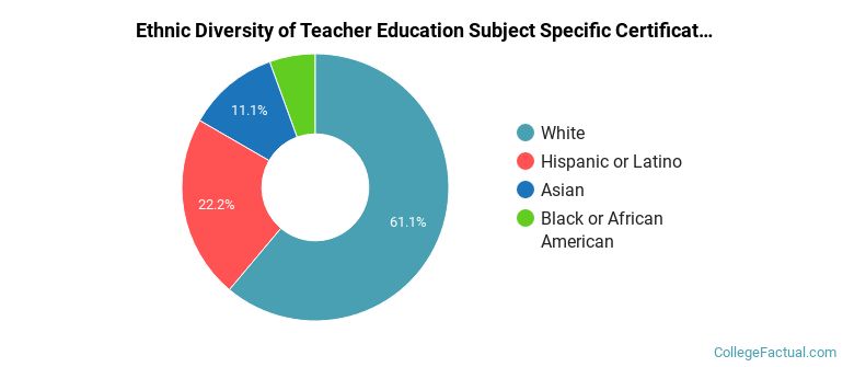 Ethnic diversity of Teacher Education Subject Specific majors at St Catherine University