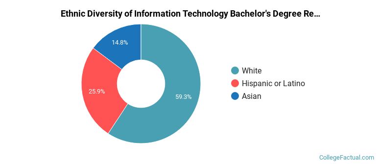 Ethnic diversity of Information Technology majors at Stevens Institute of Technology
