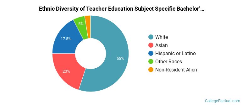 Ethnic diversity of Teacher Education Subject Specific majors at Stony Brook University