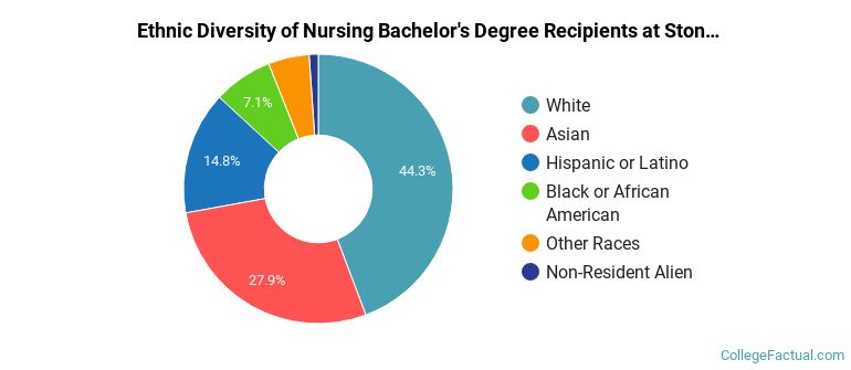 Ethnic diversity of Nursing majors at Stony Brook University