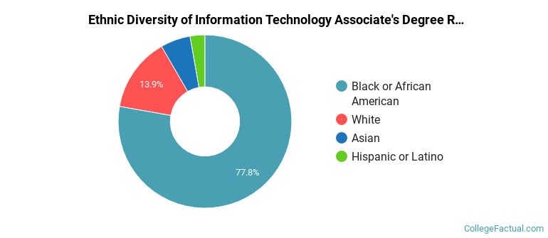 Ethnic diversity of Information Technology majors at Strayer University-Georgia
