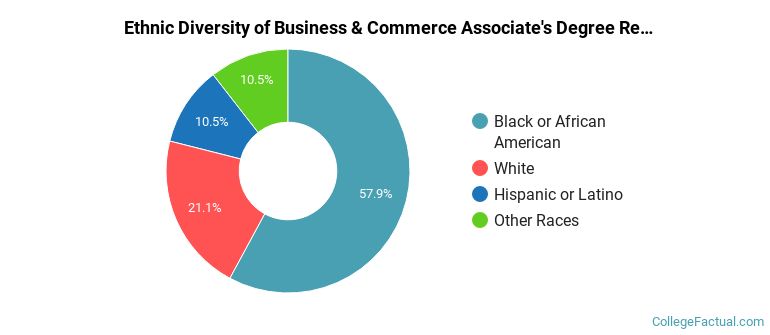 Ethnic diversity of Business & Commerce majors at Strayer University-New Jersey