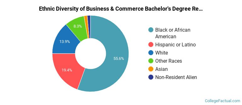Ethnic diversity of Business & Commerce majors at Strayer University-New Jersey