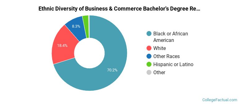 Ethnic diversity of Business & Commerce majors at Strayer University-North Carolina