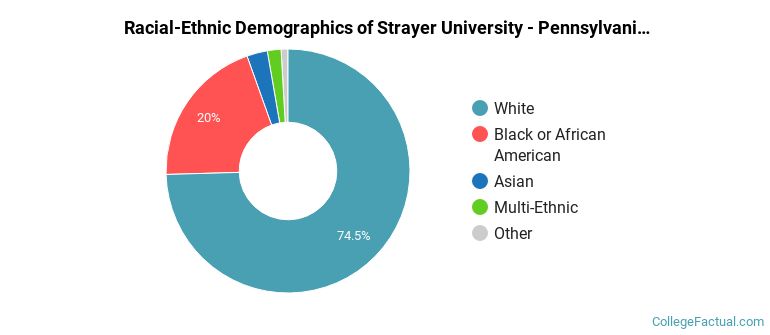 Racial-Ethnic Demographics of Strayer University - Pennsylvania Faculty