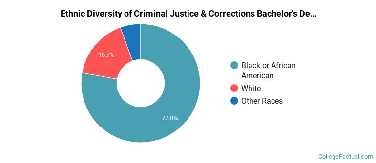 Ethnic diversity of Criminal Justice & Corrections majors at Strayer University-Tennessee