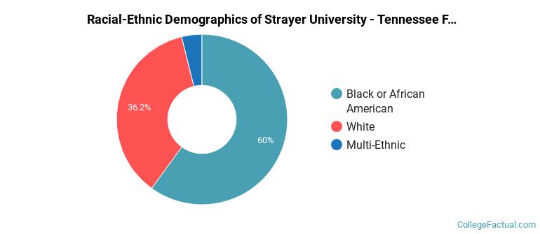 Racial-Ethnic Demographics of Strayer University - Tennessee Faculty