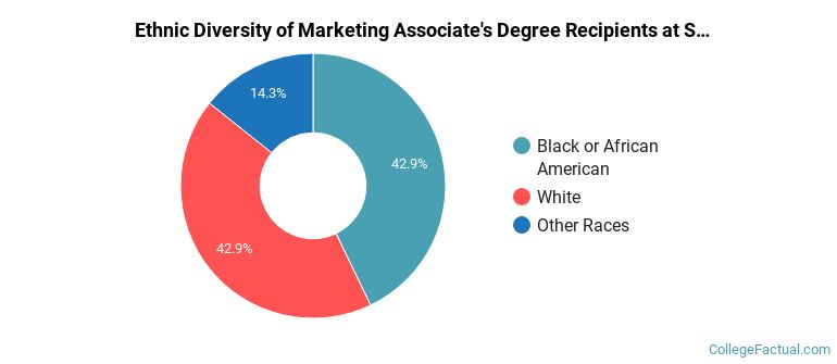 Ethnic diversity of Marketing majors at Strayer University-Virginia