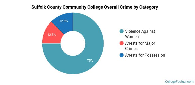 Suffolk County Community College Overall Crime by Category