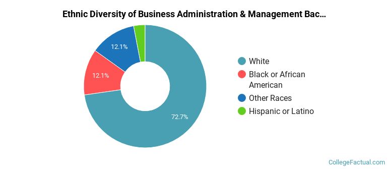 Ethnic diversity of Business Administration & Management majors at Sullivan University