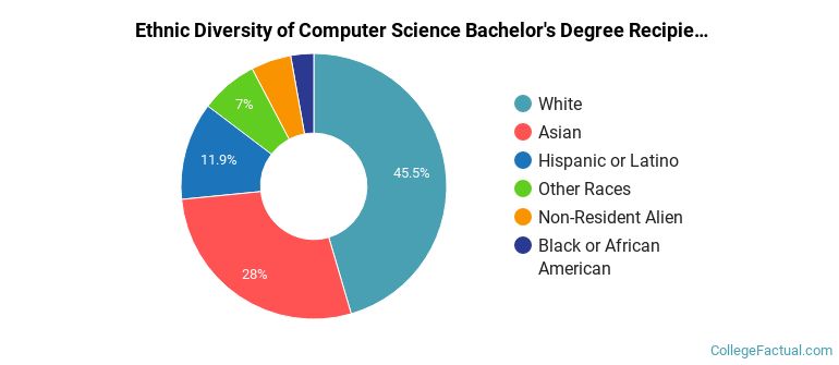 Ethnic diversity of Computer Science majors at Binghamton University