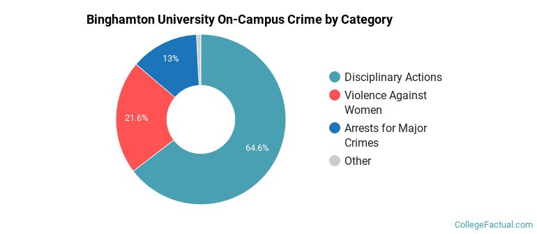 Binghamton University On-Campus Crime by Category