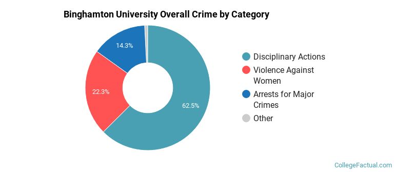 Binghamton University Overall Crime by Category