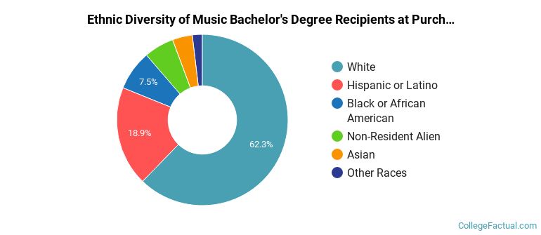 Ethnic diversity of Music majors at SUNY at Purchase College