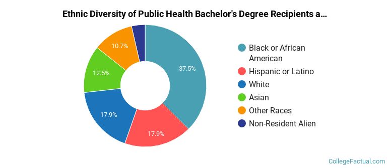 Ethnic diversity of Public Health majors at SUNY Old Westbury