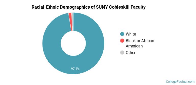 Racial-Ethnic Demographics of SUNY Cobleskill Faculty
