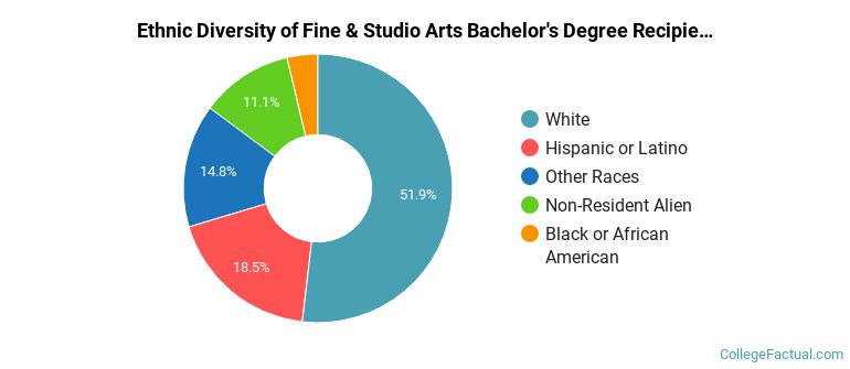 Ethnic diversity of Fine & Studio Arts majors at Syracuse University