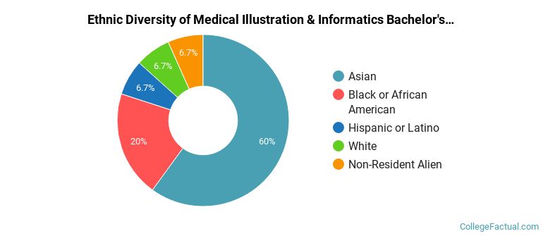 Ethnic diversity of Medical Illustration & Informatics majors at Temple University