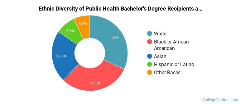 Ethnic diversity of Public Health majors at Temple University