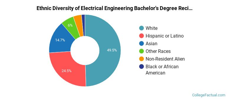 Ethnic diversity of Electrical Engineering majors at Texas A&M University-College Station