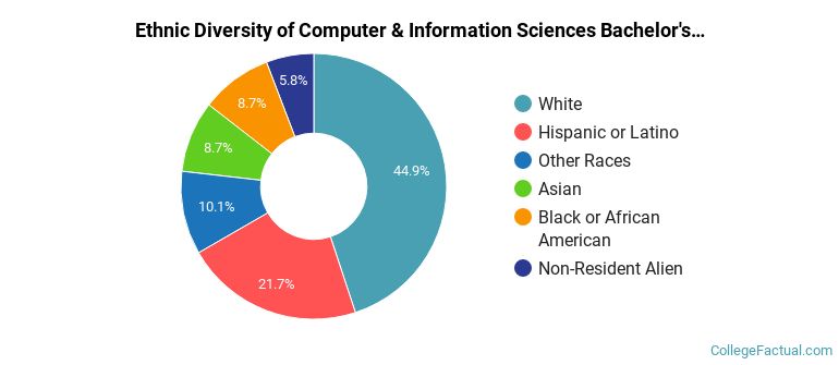 Ethnic diversity of Computer & Information Sciences majors at East Texas A&M University