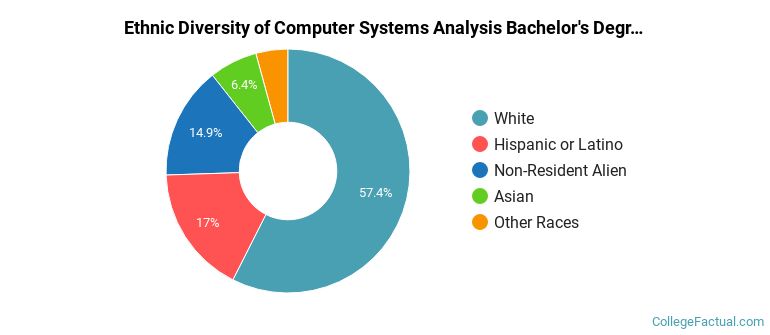 Ethnic diversity of Computer Systems Analysis majors at Texas Christian University