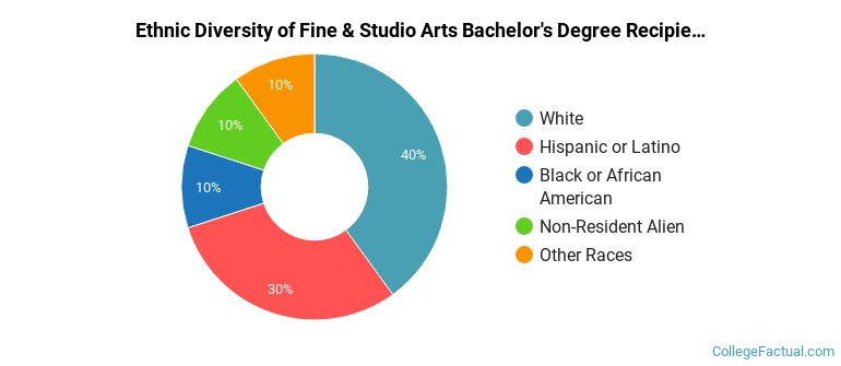Ethnic diversity of Fine & Studio Arts majors at Texas Christian University