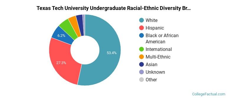 Texas Tech University Racial-Ethnic Diversity Pie Chart