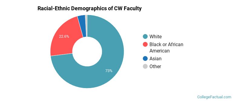 Racial-Ethnic Demographics of CW Faculty