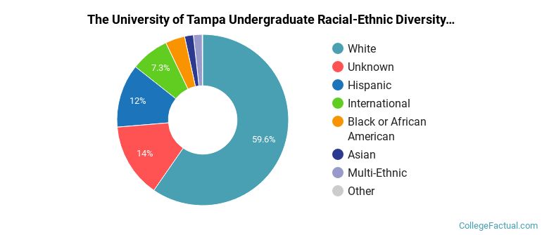 Tampa Racial Map The University of Tampa Diversity: Complete Diversity Report