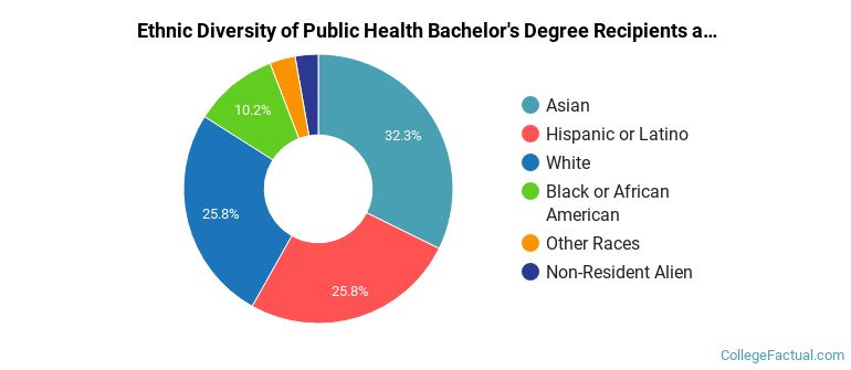 Ethnic diversity of Public Health majors at The University of Texas at Austin