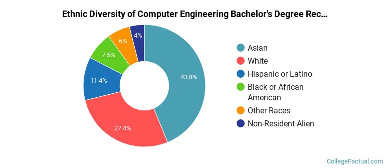 Ethnic diversity of Computer Engineering majors at The University of Texas at Dallas