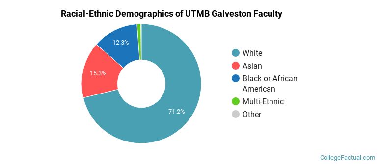 Racial-Ethnic Demographics of UTMB Galveston Faculty