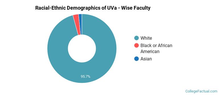 Racial-Ethnic Demographics of UVa - Wise Faculty