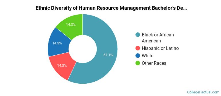 Ethnic diversity of Human Resource Management majors at Thomas Jefferson University