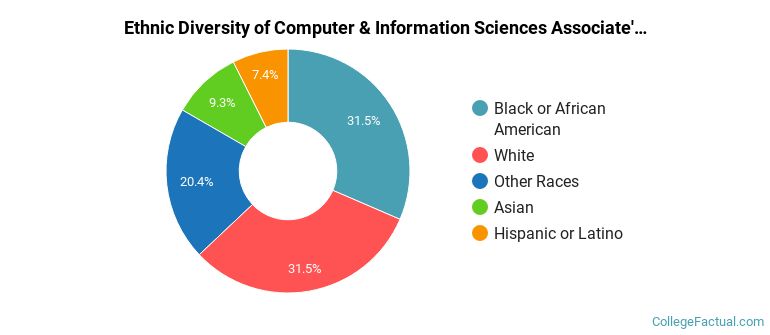 Computer Science Diversity The Undergraduate Computer & Information Sciences Major at Virginia ...