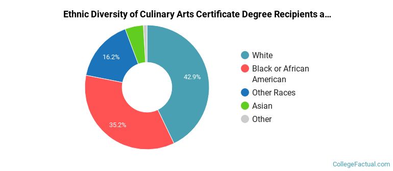 Ethnic diversity of Culinary Arts majors at Trident Technical College