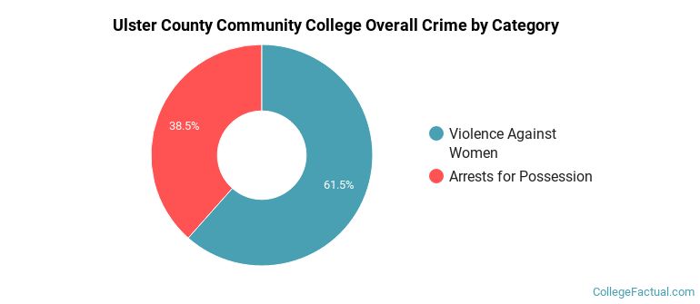 Ulster County Community College Overall Crime by Category