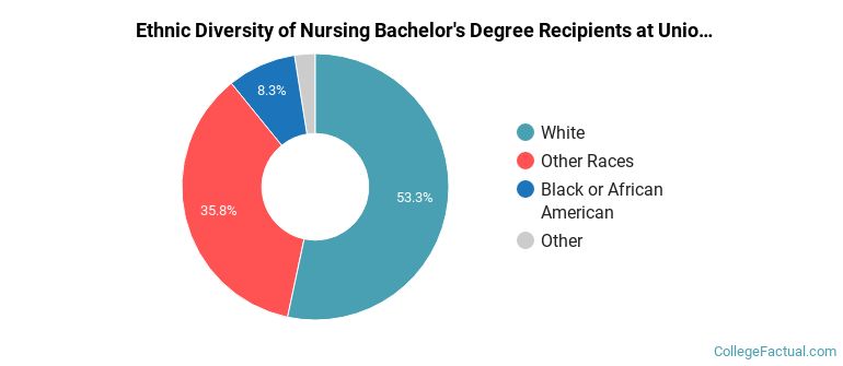 Ethnic diversity of Nursing majors at Union University