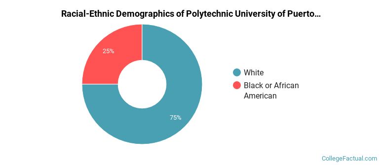 Racial-Ethnic Demographics of Polytechnic University of Puerto Rico - Orlando Faculty