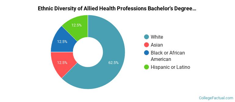 Ethnic diversity of Allied Health Professions majors at University at Buffalo