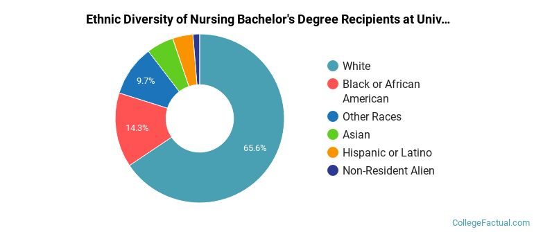 Ethnic diversity of Nursing majors at University of Alabama in Huntsville