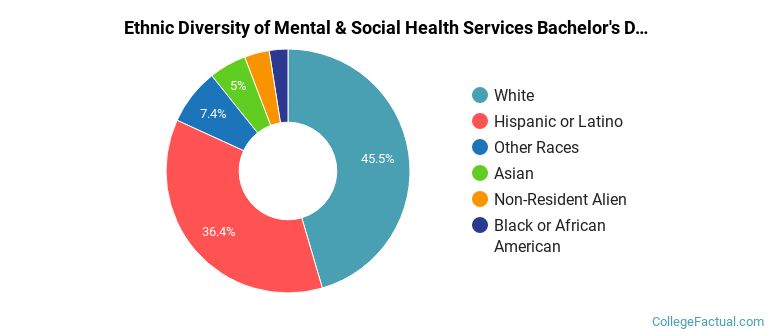 Ethnic diversity of Mental & Social Health Services majors at University of Arizona