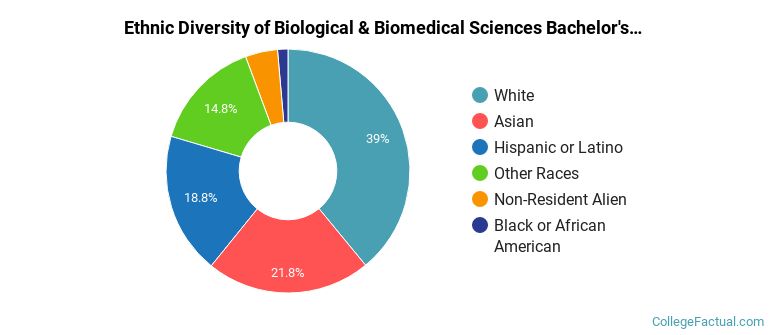 Ethnic diversity of Biological & Biomedical Sciences majors at University of California-Santa Barbara