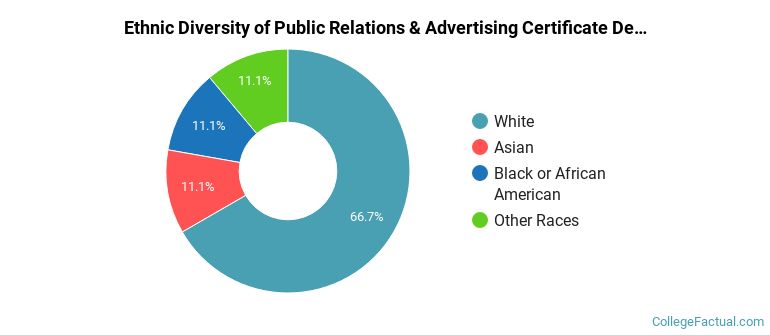 Ethnic diversity of Public Relations & Advertising majors at University of Central Missouri