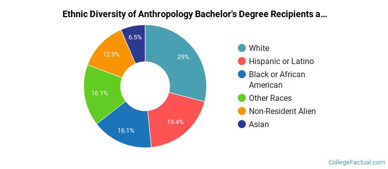 Ethnic diversity of Anthropology majors at University of Chicago