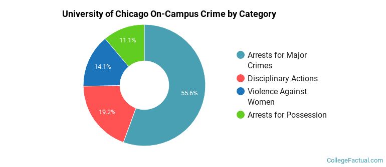 University of Chicago On-Campus Crime by Category