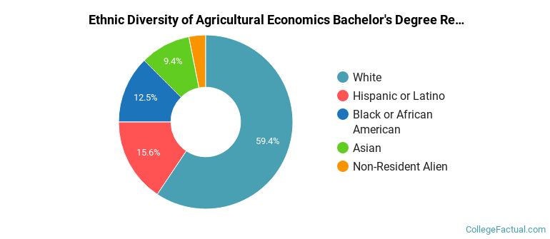 Ethnic diversity of Agricultural Economics majors at University of Connecticut